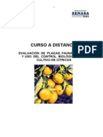 Curso Citricos