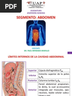 Abdomen 131215114322 Phpapp01 1