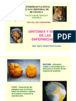 Sintomas y Signos de Enfermedades