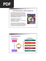 Metabolismo Microbiano A