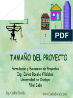 Tamaño Del Proyecto