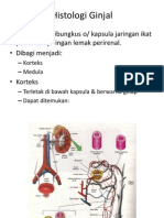 Histologi Ginjal