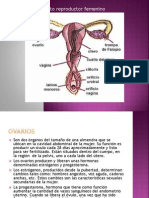 Aparato Reproductor Femenino