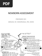 Newborn Assessment