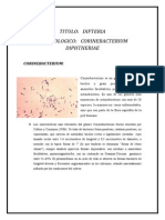 Informe CORYNEBACTERIUM