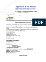 11 Patrones Enfermeria y Dominios