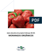 Cartilha Acao Educativa Morangos Organicos PDF