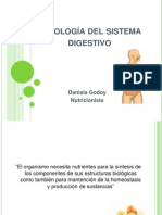 Fisiología Del Sistema Digestivo