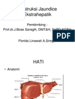 Refarat Obstruksi Jaundice Ekstrahepatik