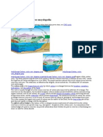 Carbon Cycle: From Wikipedia, The Free Encyclopedia