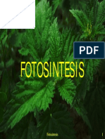 Fotosintesis PDF