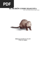 El Huron Como Mascota