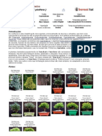 Bonsai Tuia PDF