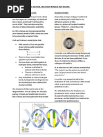 The Structure of DNA