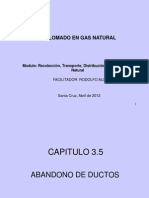 UAGRM 3-5 y 3-6 Abandono y Gasoductos en Bolivia