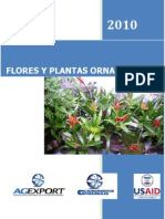 Flores y Plantas Ornamentales