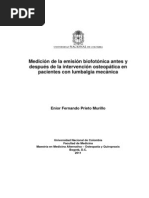 Libro Popp Biofotones PDF