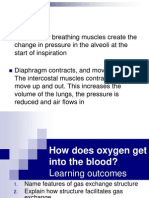 How Does Oxygen Get Into The Blood