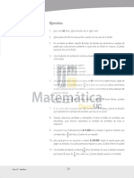 GuiaN2MAT100 PDF