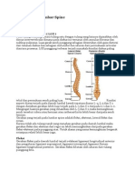 Fleksibilitas Lumbar Spine