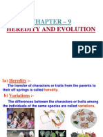 Heredity and Evolution