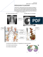 CM1.Parenquima Pulmonar