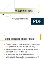 Metabolismul Acizilor Graşi