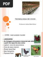 Tecnologia de Ovos Primeira Aula