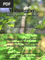 Malunggay Makes A Golden Comeback - EditedA