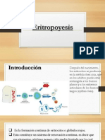 Eritropoyesis