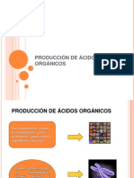 Acidos Organicos