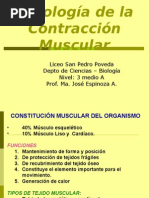 Contracción Muscular - 3ero