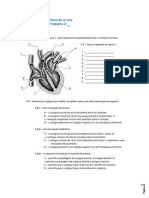 FichaTrabnº CardiovascularCN9