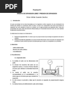 Ensayo de Expansion Libre y Presion de Expansion