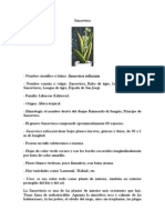 Plant As PDF