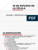 Tema1 MÉTODOS DE ESTUDIO DE LA CÉLULA