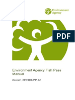 Fish Pass Manual EA (2010)