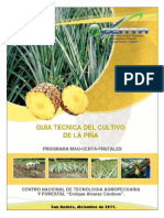 Guia Tecnica Piña 2011