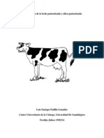 Proceso de Obtención de La Leche Pasteurizada y Ultra Pasteurizada