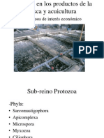 Parasitos en Los Productos de La Pesca