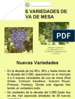 Nuevas Variedades de Uva