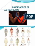 07 Apoyo Biodinamica de Los Musculos