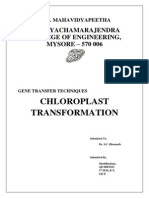 Chloroplast Transformation