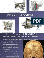 Nervii Cranieni