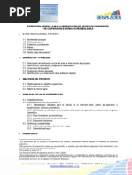 Estructura para La Presentacion de Proyectos