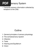 Sensory System