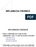 06 Inflamatia Cronica