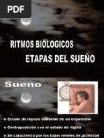 Diapositivas Sueño