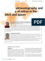 Ovarian Ultrasonography and Follow of Estrus in The Bitch and Queen