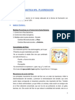 Practica Nº8 Fluorizacion